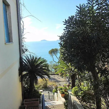 Fiori Sul Mare *
